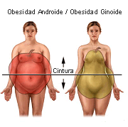 obesidad androide versus obesidad ginoide